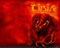 /album/galeria-de-fotos-pagina-inicial/a56-tibia-wallpaper-2-jpg/